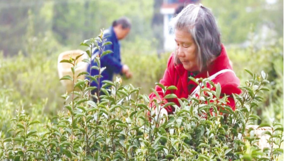 企業(yè)創(chuàng)始人(圖3)